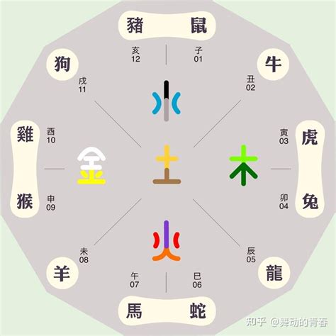 生肖五行顏色|12生肖怎樣用顏色為自己開運